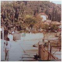 Μεγάρχη Άρτας