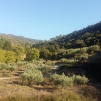 Παλιός νερόμυλος Μεγάρχη Άρτας