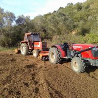 Milling in Arta Megarchis