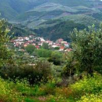 Μεγάρχη Άρτας