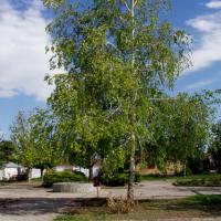 Η πλατεια του Χωριου