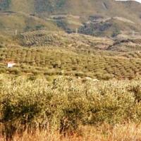 Παλιοπήγαδα Μεγάρχης Άρτας