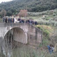THE AGIASMOS OF LIGHTS IN THE VILLAGE OF ARTAS MEGARCHIS