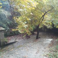 Γυφτοποταμος